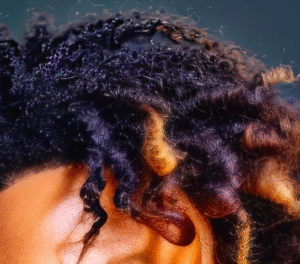 Close-up of coiled natural hair in deep blue and copper tones